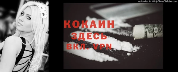 дживик Волоколамск